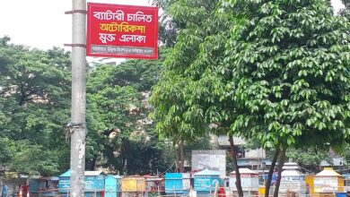 নিকুঞ্জ: যেখানে অটোরিক্সা নেই, শহরের বাতাসে বাজে শান্তির সুর নিকুঞ্জ: যেখানে অটোরিক্সা নেই, শহরের বাতাসে বাজে শান্তির সুর